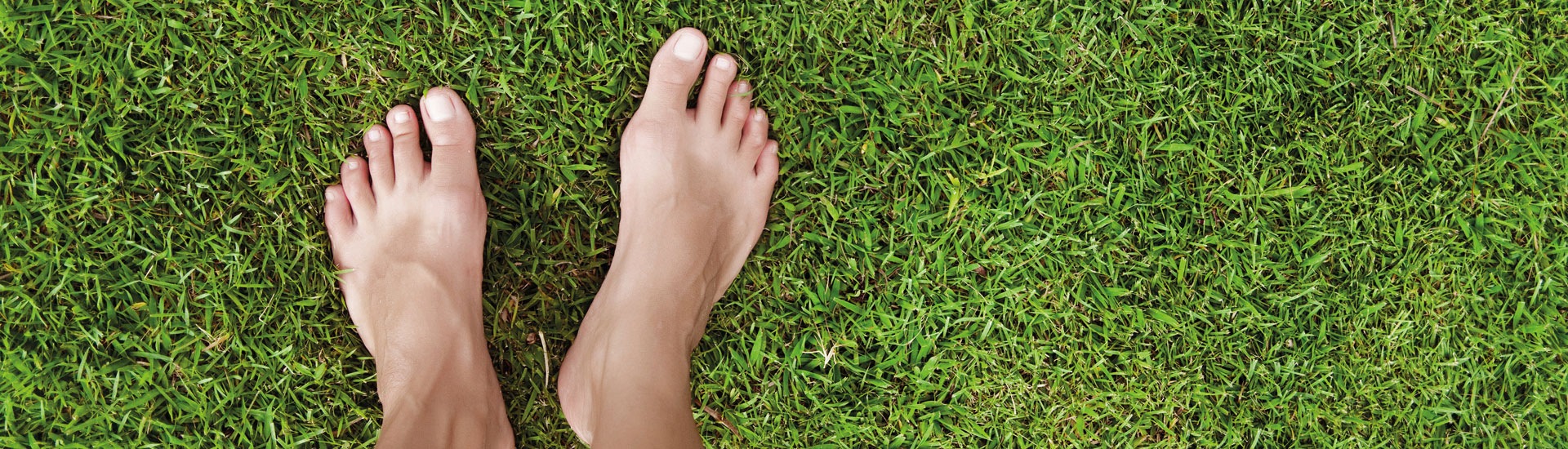 VP_Sus_foot_1920x550.jpg VP_Sus_foot_1920x550.jpg